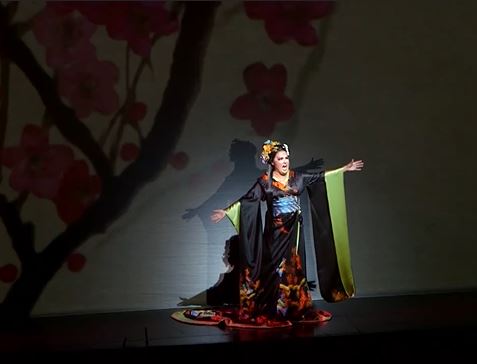 50th Anniversary Gala Met 2017 Netrebko Hvorostovsky Camarena Domingo et al  - Opera on Video
