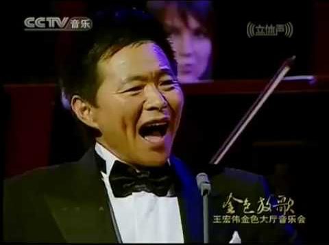 <span>FULL </span>Golden Songs Concert Vienna 2008 Wang Hongwei