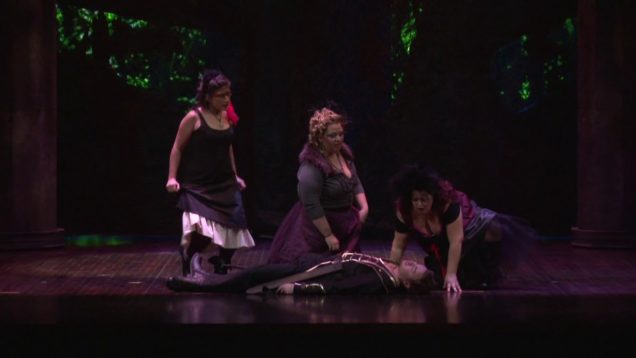 <span>FULL </span>Die Zauberflöte Michigan 2013 MSU Opera Theatre